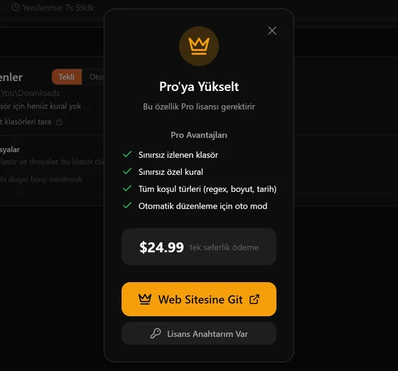 Ücretsiz kullanıcı bir Pro özelliğine tıkladığında açılan yükseltme paneli