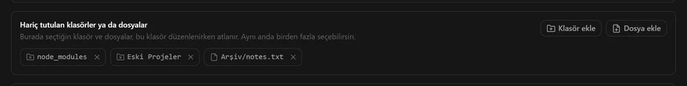 node_modules, Eski Projeler ve Arşiv/notes.txt girdilerini listeleyen hariç tutma paneli