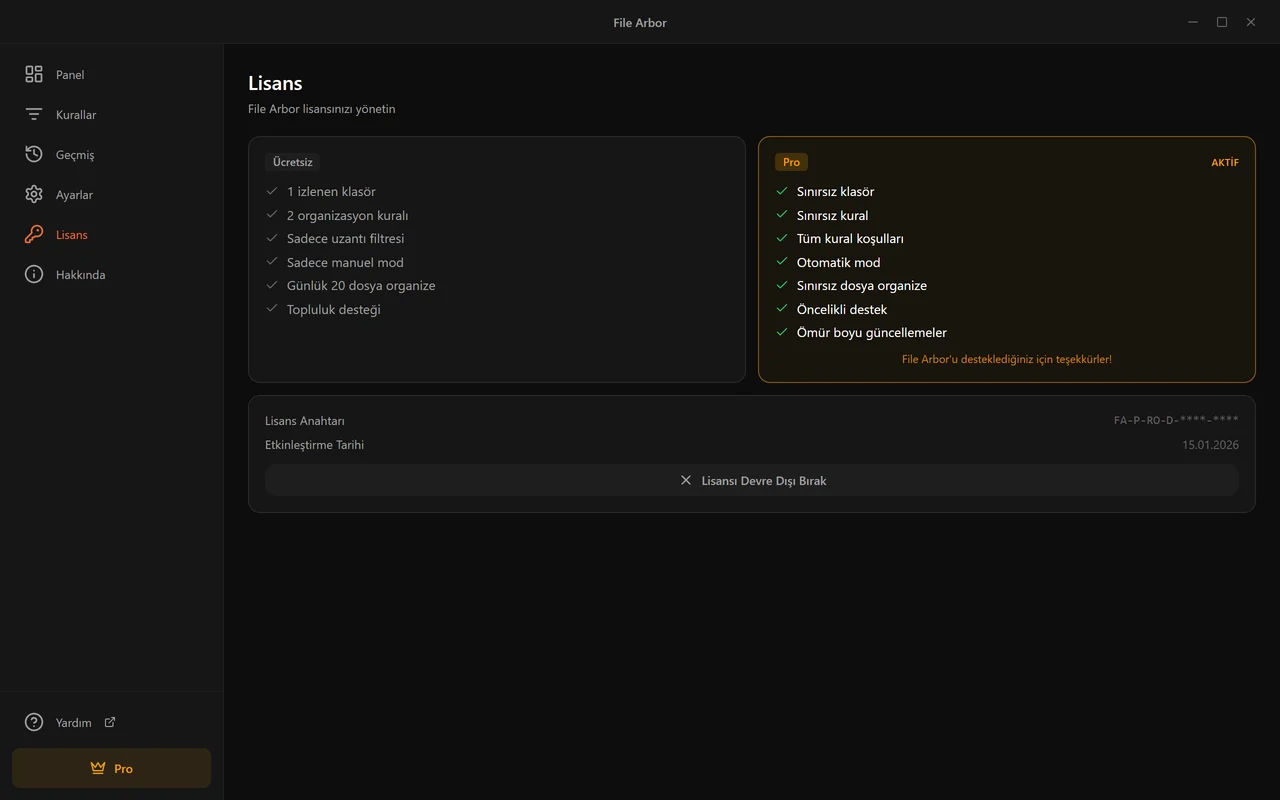 Pro'daki Lisans sayfası: anahtar, etkinleştirme tarihi ve Lisansı Devre Dışı Bırak düğmesi